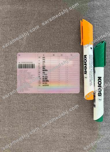 Bosnia and Herzegovina driving license photolook BACK